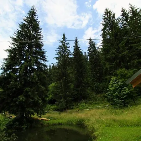 Hrystyna * Yablunytsya