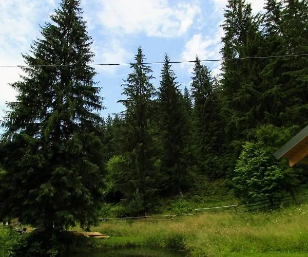 Hrystyna * Yablunytsia